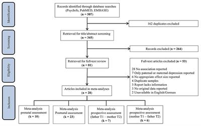 The Relationship Between Paternal and Maternal Depression During the Perinatal Period: A Systematic Review and Meta-Analysis